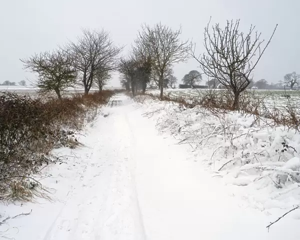 Snow covering a farm track, Gimingham, Norfolk, UK. February, 2021. Seasons sequence - Winter