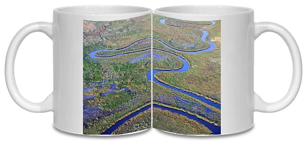 Aerial view of the Okavango Delta with meandering channels, lagoons, swamps and islands, Botswana, Africa