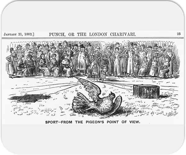 Sport from the Pigeons Point of View, 1882