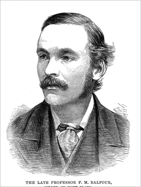 Professor Francis Maitland Balfour (1851-1882), Scottish embryologist, 1882