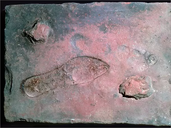 Roman tile with a mans footprint, 1st century