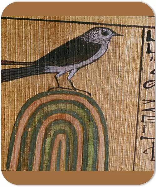 Egyptian papyrus showing Ani as a swallow, 13th century BC