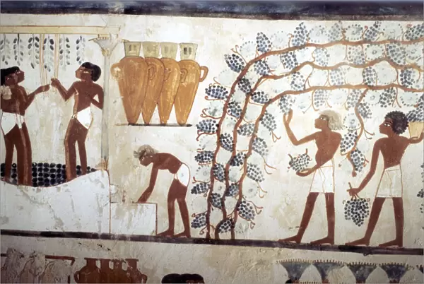 Wall painting from the tomb of the scribe Menna, Thebes, Ancient Egyptian, 18th dynasty