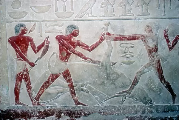 Wallpainting of 3 butchers cutting up a carcase, Tomb of Idut, 5th Dynasty, c2350 BC