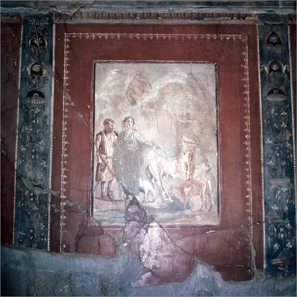 Roman wallpainting of Daedalus, Pasiphae and the Bull, Herculaneum, Italy