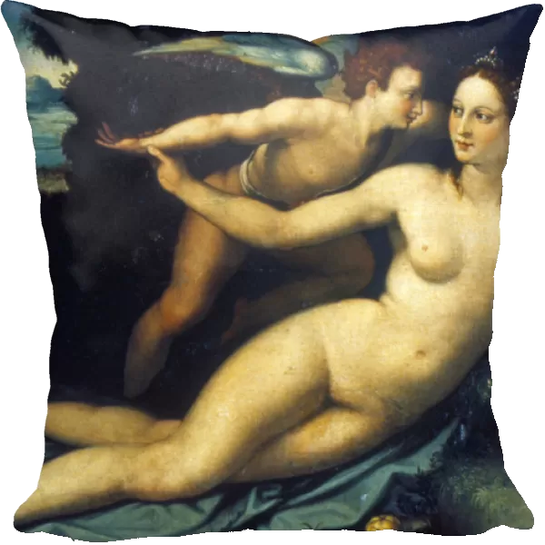 Venus and Cupid, mid 16th century. Artist: Agnolo Bronzino