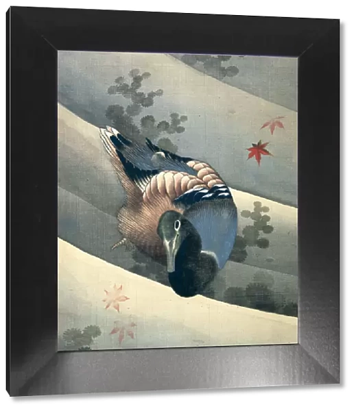 Duck Swimming in Water, 1847. Artist: Hokusai