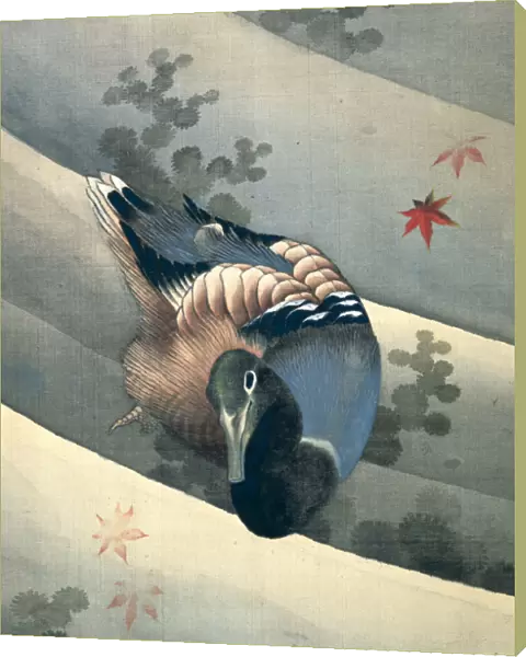 Duck Swimming in Water, 1847. Artist: Hokusai