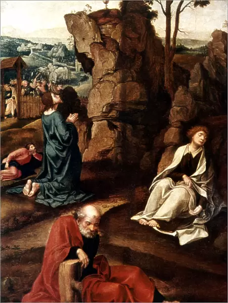 Jesus on the Mount of Olives, 16th century. Artist: Pieter Coecke van Aelst