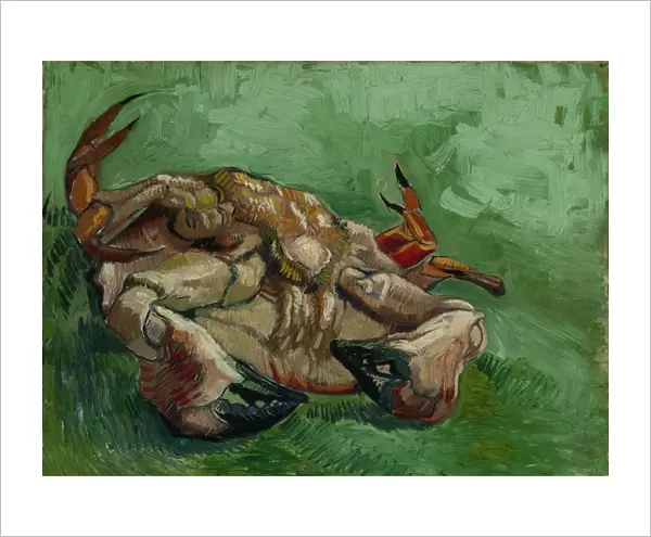A crab, lying on his back, 1889. Artist: Gogh, Vincent, van (1853-1890)
