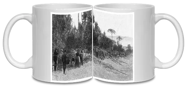 Hop Picking near Bairnsdale, Australia, 1886