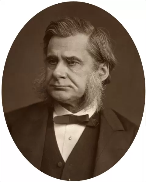 Professor Thomas Henry Huxley, 1880. Artist: Lock & Whitfield