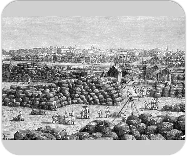 The cotton market at Bombay, India, 1895