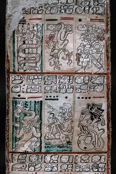 A page from the Dresden codex, Maya manuscript, 1901