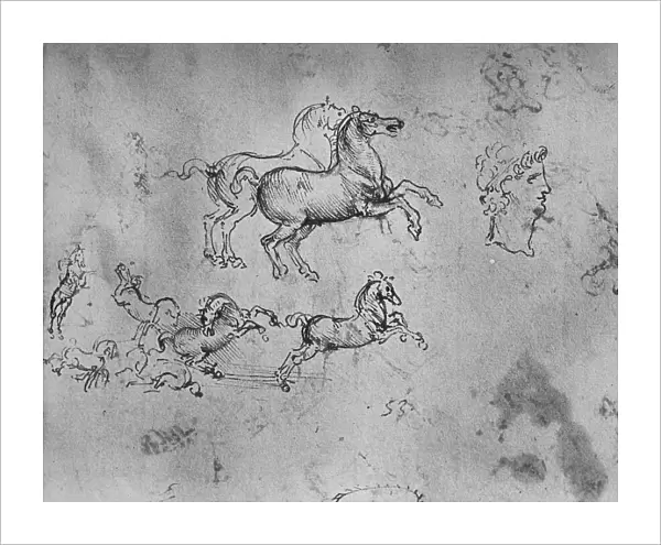 Studies of Galloping Horses and a Head, c1480 (1945). Artist: Leonardo da Vinci