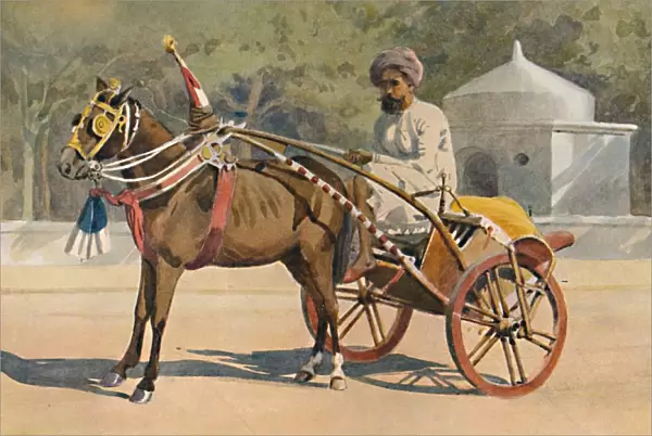 A Benares Ekka, c1880 (1905). Artist: Alexander Henry Hallam Murray