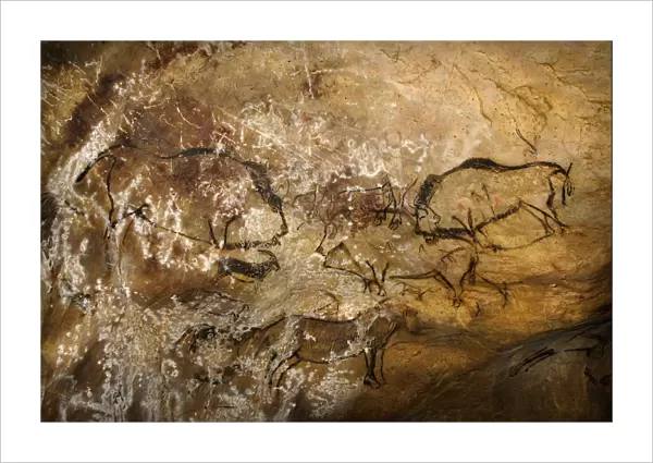 Painting in the Cave of Niaux. Artist: Art of the Upper Paleolithic