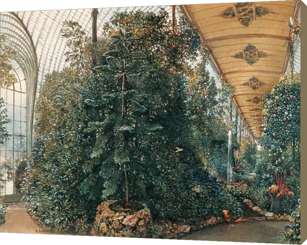Interior of the Palm House of Lednice Palace. Artist: Alt, Rudolf von (1812-1905)