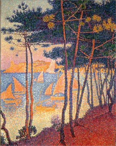 Sails and pines. Artist: Signac, Paul (1863-1935)
