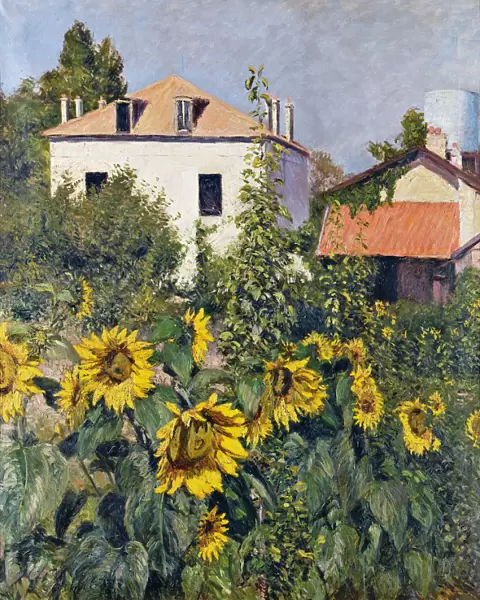 Sunflowers, Garden at Petit Gennevilliers, ca 1885