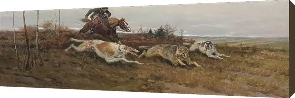 Wolf hunting with borzois