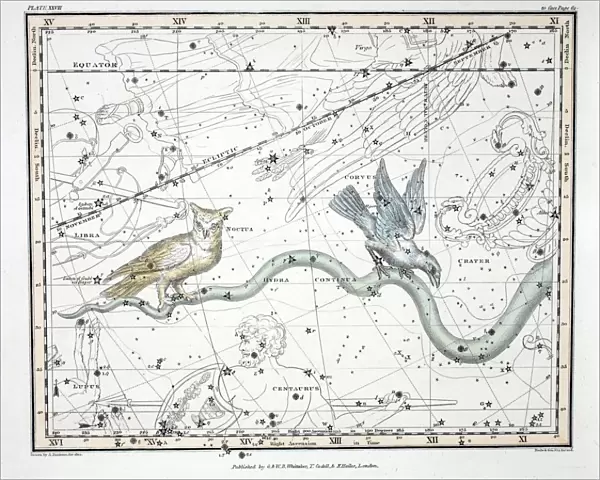 The Constellations (Plate XXVII) Hydra Continua, Crater, Covus, Centaurus et Lupus, 1822