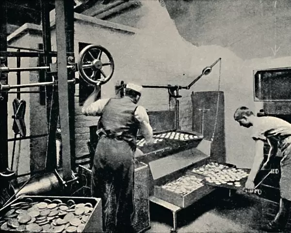 Removing Biscuits from Oven, c1917