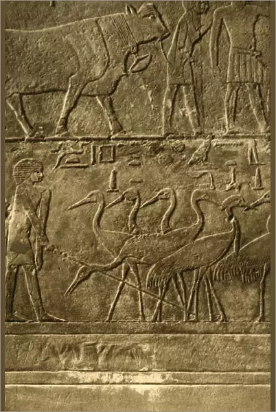 Saqqara - Tomb of Ti Mural Paintings, c1918-c1939. Creator: Unknown