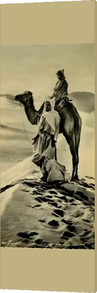 Egypt - The Prayer in the Desert, c1918-c1939. Creator: Unknown