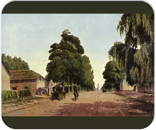 Church Street, Pretoria - The Approach to the Town, 1901. Creator: Donald E M Cracken
