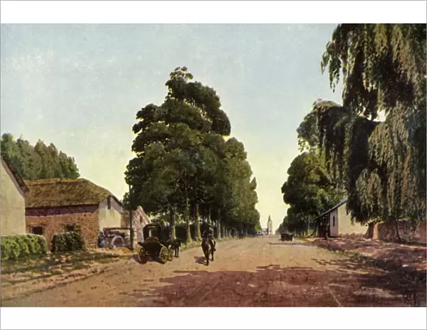 Church Street, Pretoria - The Approach to the Town, 1901. Creator: Donald E M Cracken