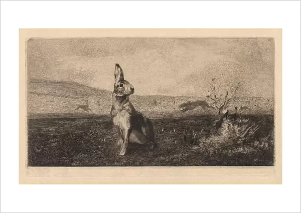 The Hare (Le Lievre), 1865. Creator: Felix Bracquemond (French, 1833-1914)