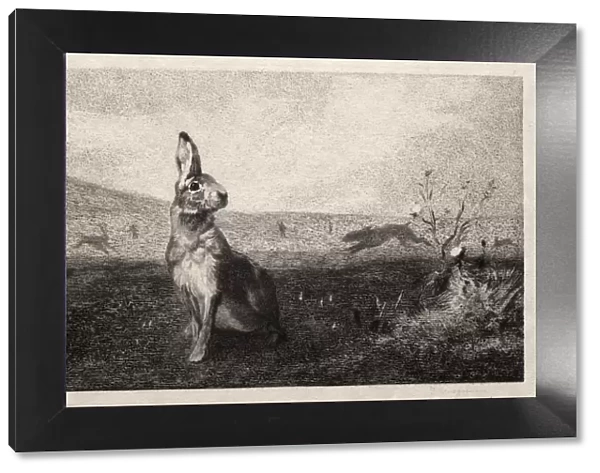 The Hare (after A. de Balleroy), 1865. Creator: Felix Bracquemond (French, 1833-1914)