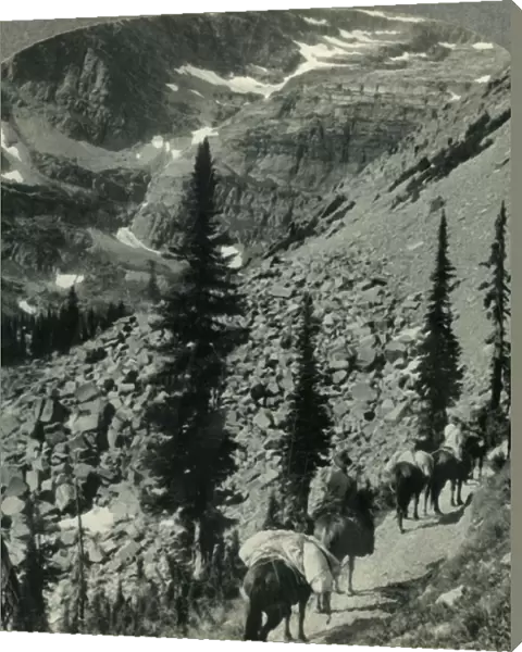 Verdure and Snowbanks along the Trail to Lincoln Pass, Glacier Nat. Park, Mont. c1930s