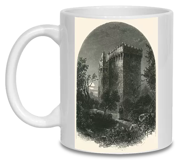 Blarney Castle, c1870
