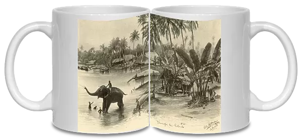 Washing an elephant in the river, Colombo, Ceylon, 1898. Creator: Christian Wilhelm Allers