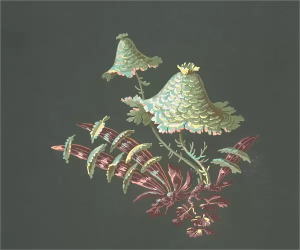 Two Hat-Shaped Chinoiserie Flowers with Fanciful Leaves, 19th century. Creator: Anon