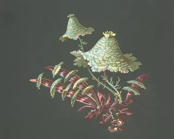 Two Hat-Shaped Chinoiserie Flowers with Fanciful Leaves, 19th century. Creator: Anon