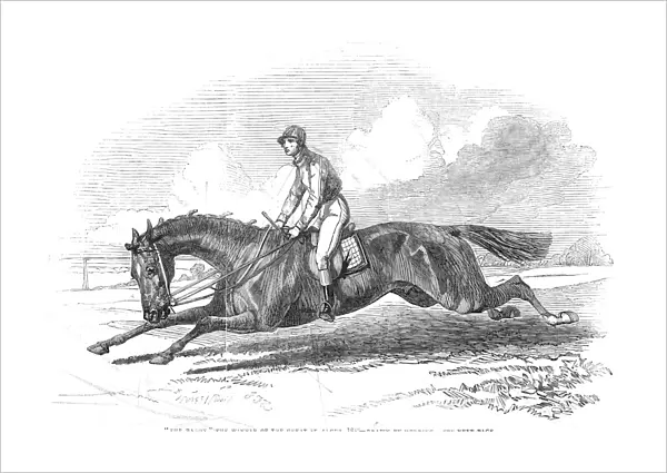 The Baron, the winner of the Great St. Leger 1845 - drawn by Herring, 1845