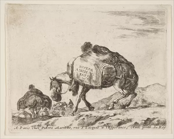 Frontispiece for Diversi Animali: Pack Horse, ca. 1641. Creator: Stefano della Bella