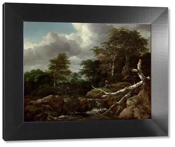 Forest Scene, c. 1655. Creator: Jacob van Ruisdael