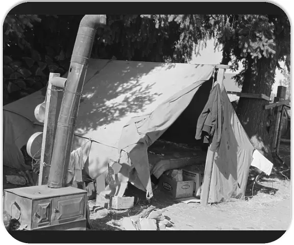 Bean pickers tent, one of fourteen in a group... near West Stayton Marion County, Oregon, 1939. Creator: Dorothea Lange