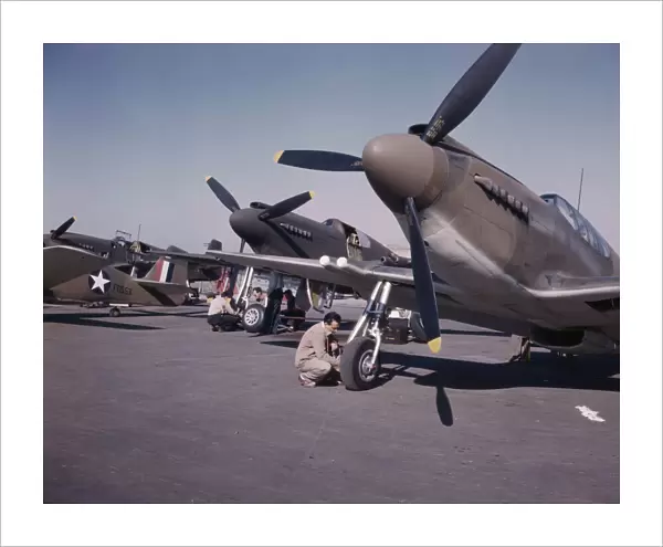 P-51 ('Mustang') fighter planes being prep... North American Aviation, Inc, Inglewood, Calif. 1942. Creator: Alfred T Palmer