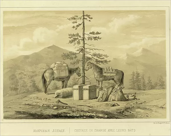 Pack Horses, 1856. Creator: Ivan Dem'ianovich Bulychev