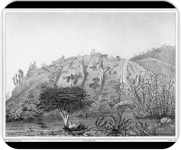View of the Outskirts of Valparaiso, Chile, 19th century. Creators: Alexander Postels, Leon Jean-Baptiste Sabatier