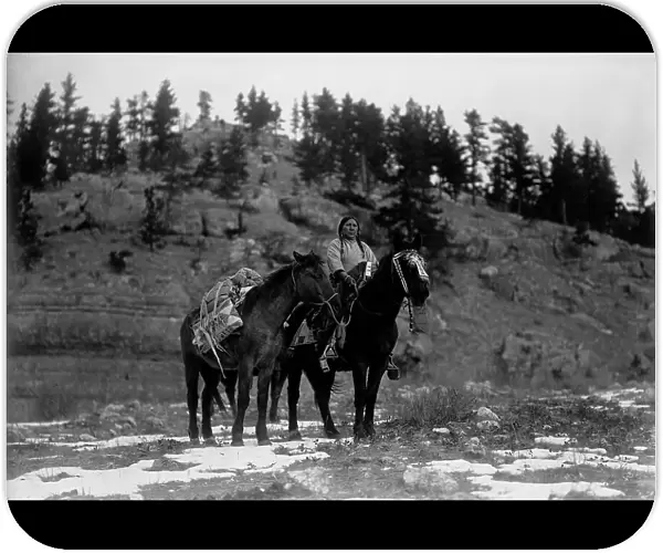 Pack horse [i.e. packhorse]-Apsaroke, c1908. Creator: Edward Sheriff Curtis