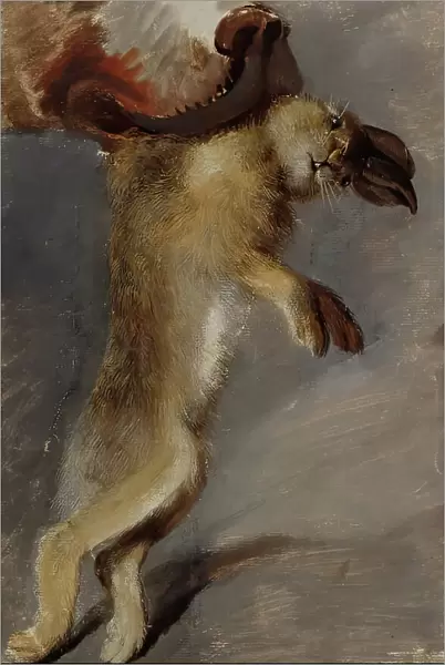 Study of a Hare, around 1815. Creator: Johann Peter Krafft