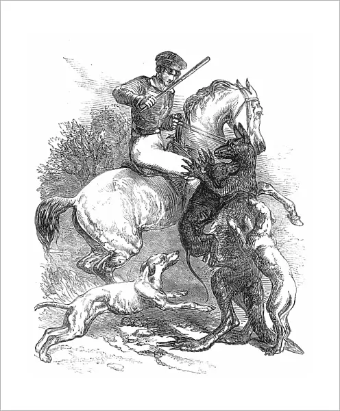 Killing a 'Boomer', 1850. Creator: Unknown. Killing a 'Boomer', 1850. Creator: Unknown