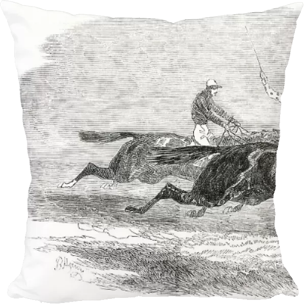 Doncaster Races - the Dead-Heat for the St. Leger Stakes... 1850. Creator: Unknown