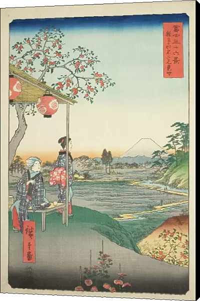 View of Mount Fuji from a Teahouse at Zoshigaya (Zoshigaya Fujimi chaya), from the... 1858. Creator: Ando Hiroshige